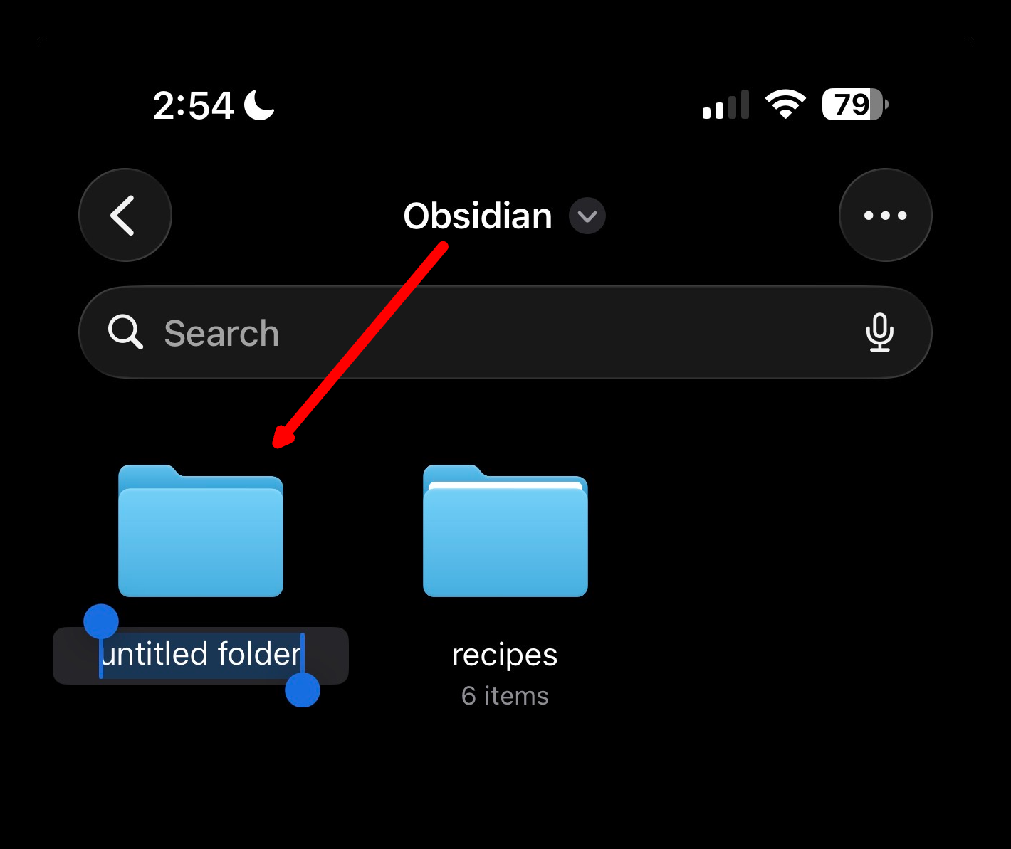 New untitled folder selected in Obsidian, ready for renaming, with a red arrow pointing to the folder label.